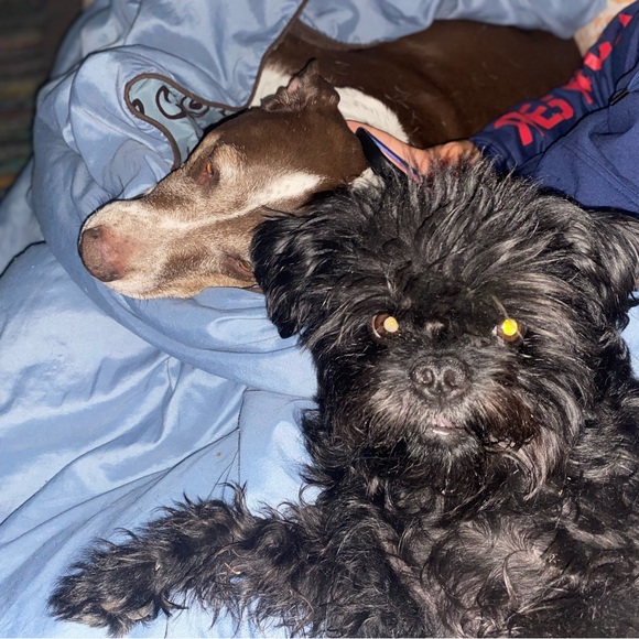 Meet your Posher, Tracie - Picture 3 of 3